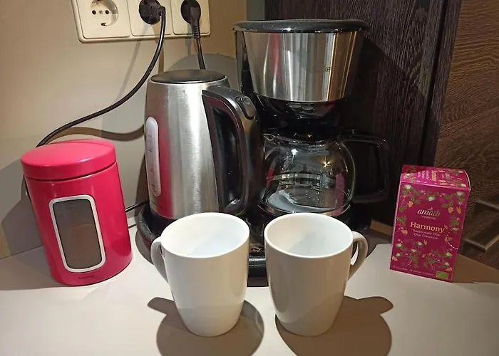 Thuis In Deze Charmante Loft Апартаменты *